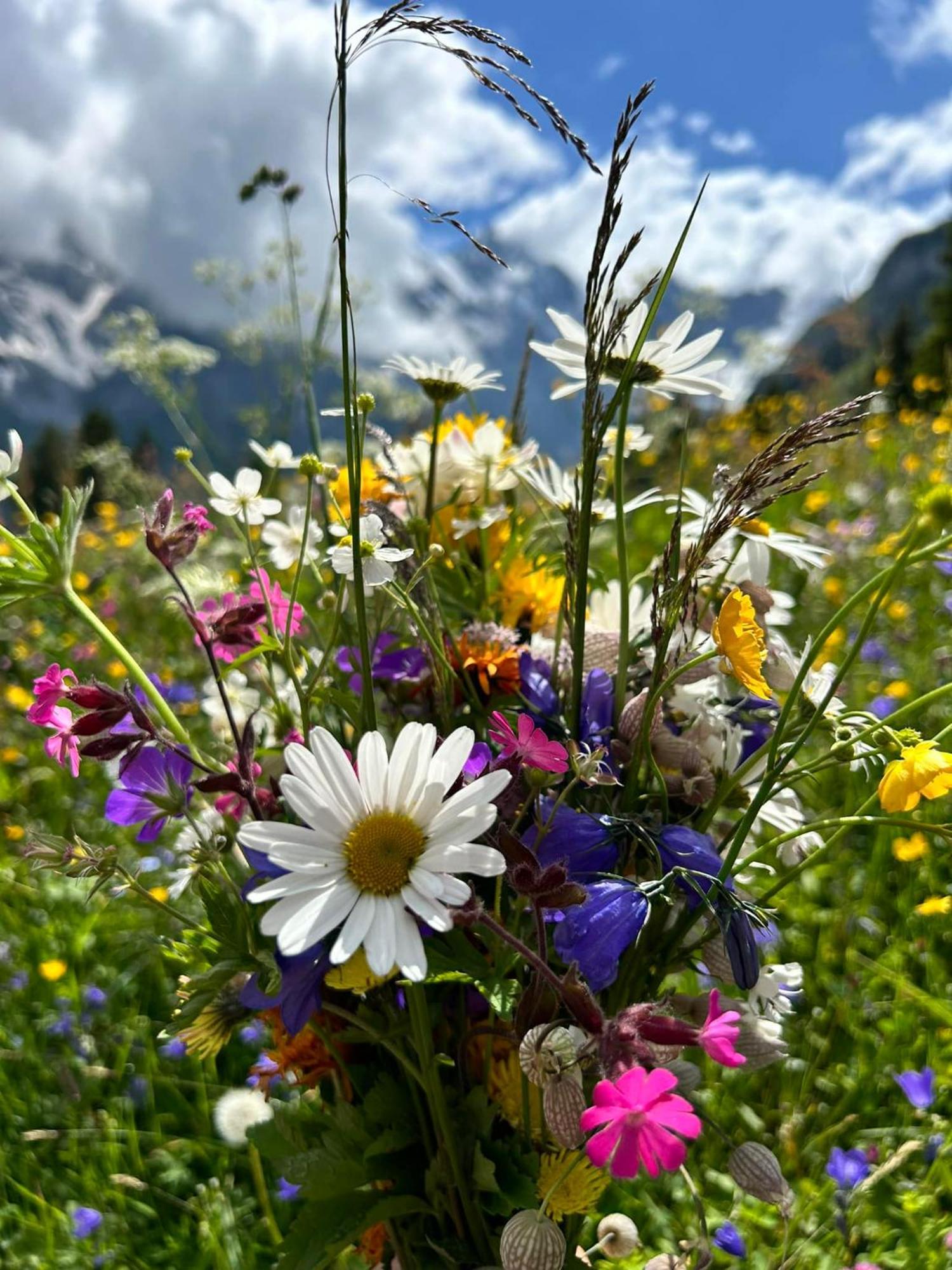 Bed And Breakfast - Die Aelplersuit Fuer Backpackers - Rucksacktouristen Im Berghuesli Linthal Buitenkant foto